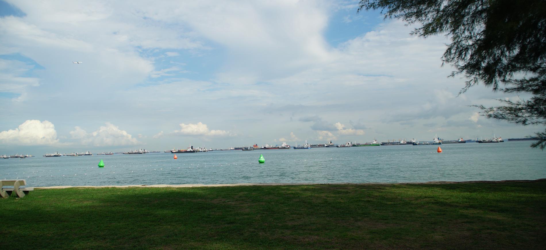 The swim course at East Coast Park, buoys set in the water